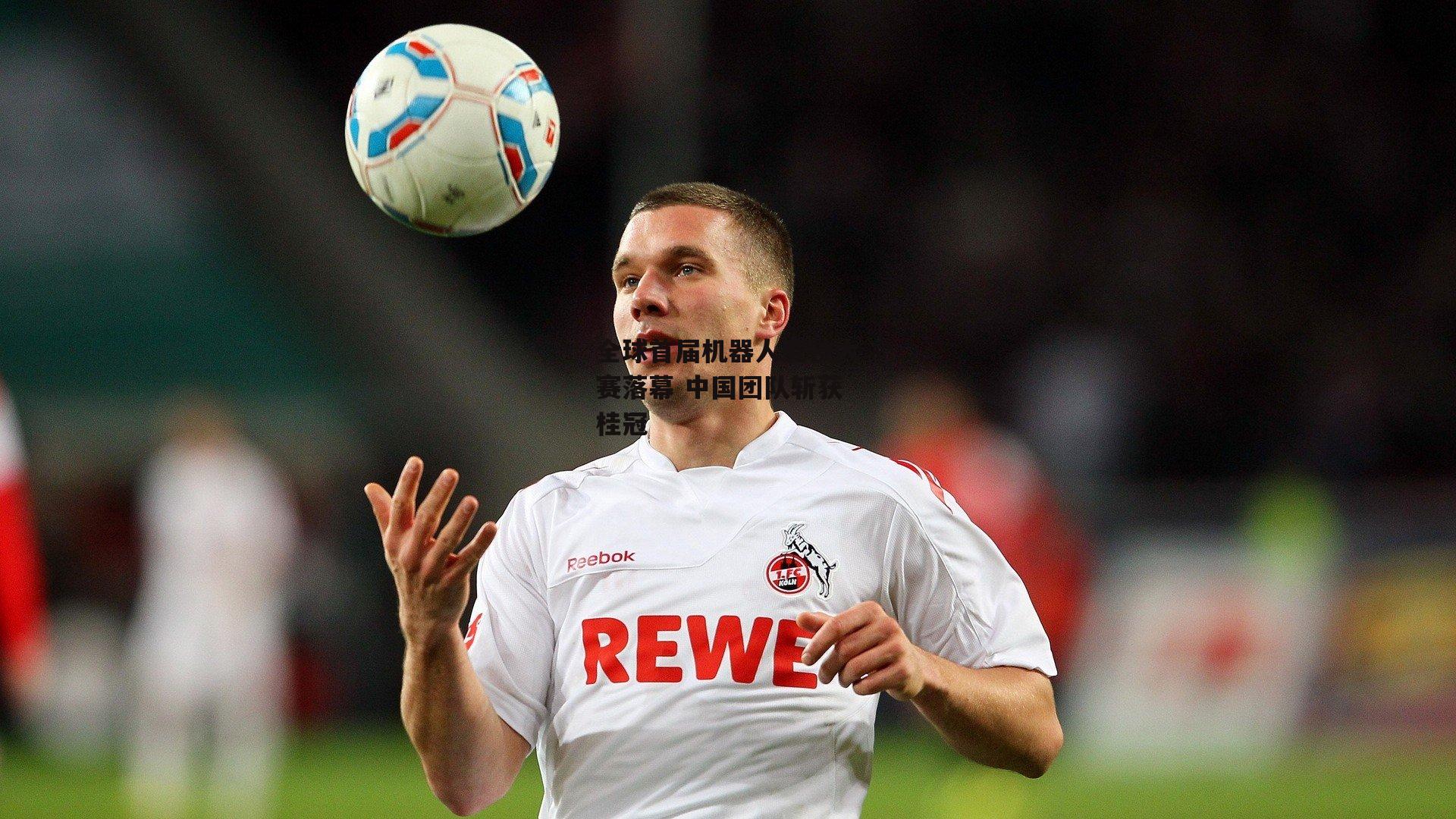 全球首届机器人竞技大赛落幕 中国团队斩获桂冠