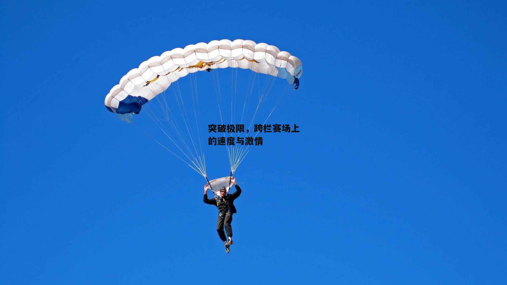 突破极限，跨栏赛场上的速度与激情